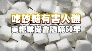 吃砂糖有害人體 美糖業協會隱瞞50年 | 台灣蘋果日報