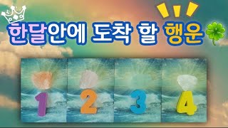 🔥타로카드🔥 한 달 안에 받게 되는 행운🌈🌞