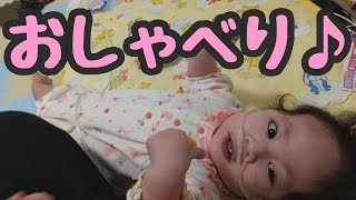 【おしゃべり♪】次の手術に向けて療養中17 (最近のかりんの言葉・・・)