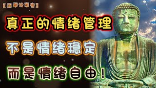 真正的情绪管理，不是情绪稳定，而是情绪自由！情绪管理，永远是看见、允许、接纳！｜正道分享会｜中文字幕｜#佛禅 #心霊 #人生感悟 #正能量 #心灵 #心灵疗愈 #语录分享 #幸福 #哲理 #为人处世