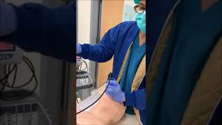 影像式喉頭鏡插管示範影片Video-assisted laryngoscopes