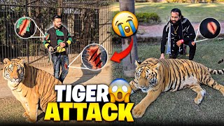 Mere Tiger Ny Dangerous Attack Kr Dia 😭 | Rocky Ny Kapry Phaar Dye 😑 | Nouman Hassan