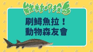 【實況精華】刷鱘魚拉！動物森友會