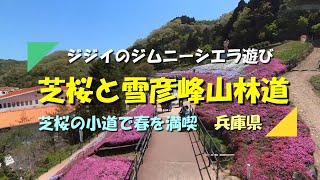 【ジムニー】シエラでヤマサ蒲鉾本社の「芝桜の小道」へ寄り そのあと林道雪彦・峰山線を走ってきました（兵庫県）