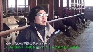 福良牧場で勤めて想うこと〜働く人の声〜【十勝本別町にある福良牧場】