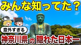 【知らなきゃ損】独立国家級の実力！神奈川の日本一を徹底解説！【ゆっくり総集編】