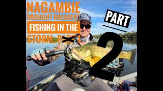MONSTER Murray Cod… Then DISASTER Struck at Speed! | Nagambie Part 2