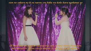 AKB48 · Haruna Kojima \u0026 Atsuko Maeda 2017 Sakura no Ki ni Narou (Sakiko Matsui on piano)