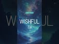 Wishful x Lost Path | Ali Raza & Shjr