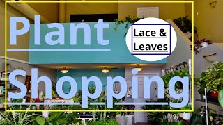 Plant Shopping. Lace and Leaves Edmonton, Alberta. Late Summer 2020. #KSTEFFORLIFE