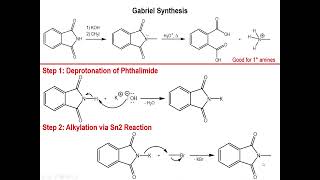 Lec9 - Gabriel Synthesis of Primary Amines