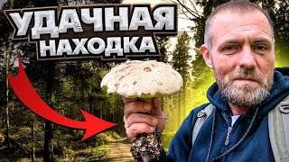 ВОТ ОН-осенний ГРИБНОЙ СЕЗОН!.Рай для ГРИБНИКОВ!