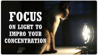 FOCUS ON LIGHT TO IMPRO YOUR CONCENTRATION