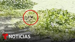Rescatan a un migrante venezolano que se ahogaba en las aguas del río Bravo | Noticias Telemundo