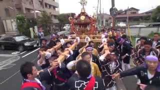 平成２５年 三鷹  井口八幡神社  例大祭  神輿渡御 迫力映像。