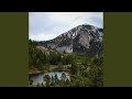 Echoes of the Timberline