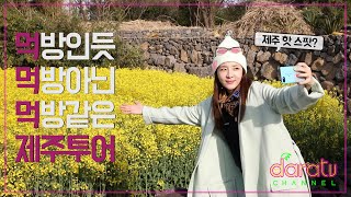 다라티비, 제주 핫플 먹방 투어 l DARATV IN JEJU