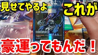 【デジカ】追加分で買った10パックにとんでもないものを引いてしまった-DigimonCardGame