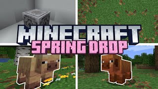 New Pigs, Flowers, Leaves \u0026 Lodestone Buff | Minecraft Snapshot