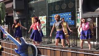 セルテLIVE 2019.5.17「馬車道アイドル　ポニカロード」