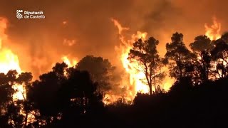 Waldbrand in Spanien eingedämmt - Behörden geben jedoch noch keine Entwarnung