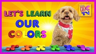 Learn Colors With Lizzy the Dog | Educational Video for Kids by Brain Candy TV