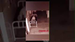 REAL GHOST IN CCTV CAMERA Real boot