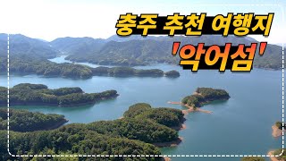 이색적인 충주 추천 여행지 악어섬!!