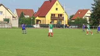 SK Vojkovice A - FC Lobkovice 3:0 (2:0)