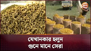 রাঙ্গামাটিতে বাণিজ্যিকভাবে চাষ হচ্ছে হলুদের | Turmeric | Rangamati | Business 24 | Channel 24