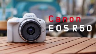 Canon R50詳細評測-相當適合新手的入門款相機