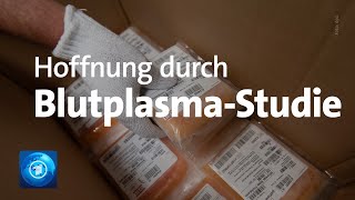 Blutplasma von Corona-Genesenen in der Erforschung