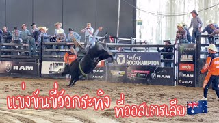 การแข่งขันขี่วัวกระทิง|ควีนสแลนด์|ออสเตรเลีย🇦🇺