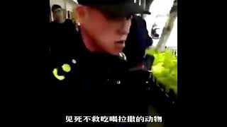 李志《广场》自制MV  我热爱的祖国啊！为什么会变成这样？