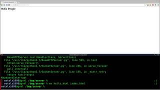 Setup a Webserver with Python Linux Tutorials clip8
