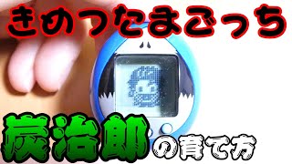 きめつたまごっち｜【鬼滅の刃】炭治郎を育てる方法とは！？