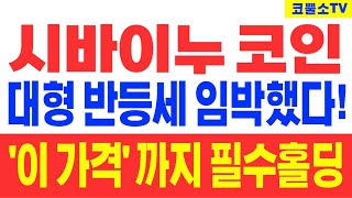 [시바이누 코인] 대형  반등세 임박했다! '이 가격' 까지 필수홀딩!