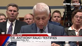 Video Now: Dr. Fauci testifies in D.C.