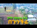 ደማቅ መስቀል በጉንችሬ እኖር ጉራጌ