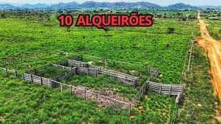 Propriedade RURAL.  10 alqueires 48.4 hequitares, toda formada