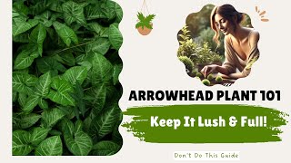 How to Keep An Arrowhead Plant Bushy \u0026 Lush