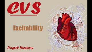 Excitability CVS | Nageeb El hussieny