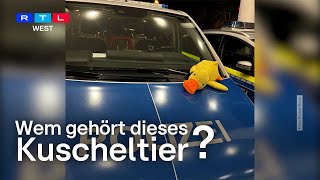 Wer vermisst dieses Kuscheltier? Polizei Bonn sucht Besitzer der Stoffente | RTL WEST