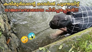 കരിമൂർഖന്റെ മടയിൽ ചൂണ്ടയിട്ട് രാജവെമ്പാലയെ പിടിച്ചപ്പോൾ😳😱|Kerala fishing|Fishing Kerala|DEEPU BABU|