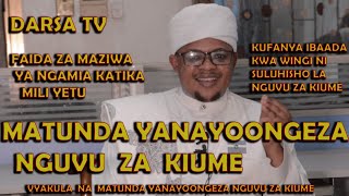 Matunda Yanayoongeza Nguvu Za Kiume /Faida Za Maziwa Ya Ngamia Ktk Mili Yetu/ Sheikh Othman Micheal