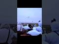 snow geese hunting amazing shot #youtubeshorts #birdhunting #goosehunting #hunting