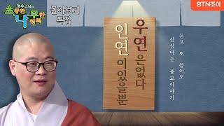 '우연'은 없다. '인연'이 있을뿐ㅣ광우스님 소나무 ㅣ몰아보기 특집