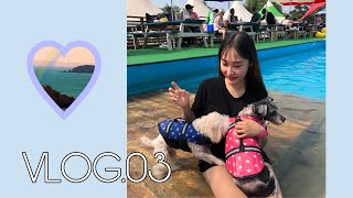 VLOG | #03 사람만 워터파크간다? NO 강아지도 워터파크 간다! 반려동물의 핫플 ‘송추 도그베이’🐶/남양주카페/슈어와이낫/제리치즈케이크🧀/스누피팬케이크