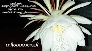 നിശാഗന്ധി /കവിത /NISAGANDHI/Lyrics by Madhusoodanan Pallipravan