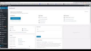 Stack WordPress Theme - Post Type Options Overview